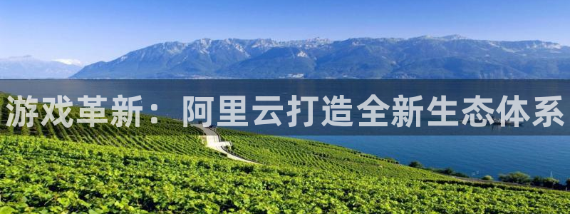 赢咖娱乐什么意思