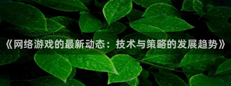 赢咖娱乐登录网址：《网络游戏的最新动态：技术与策略的发展趋势