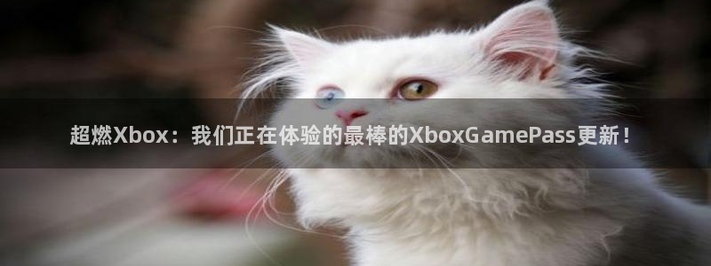 赢咖娱乐升级5994月
