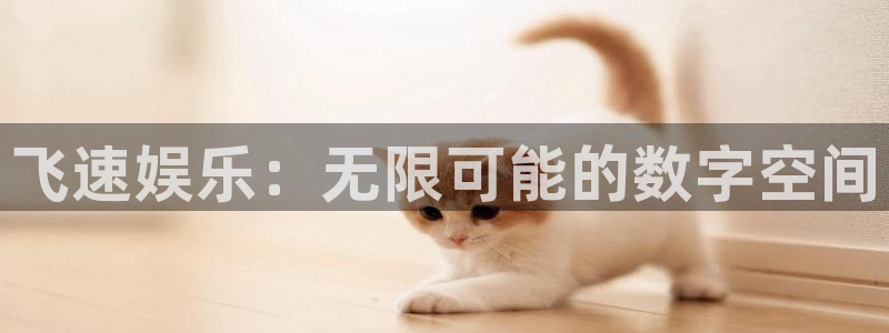 赢咖娱乐登录网址：飞速娱乐：无限可能的数字空间