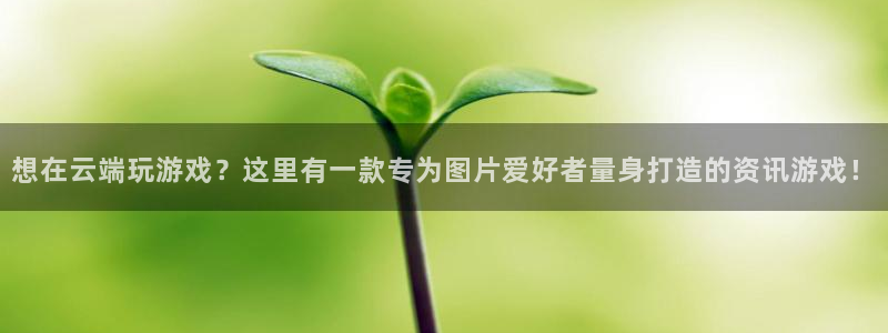 赢咖娱乐登陆：想在云端玩游戏？这里有一款专为图片爱好者量身打