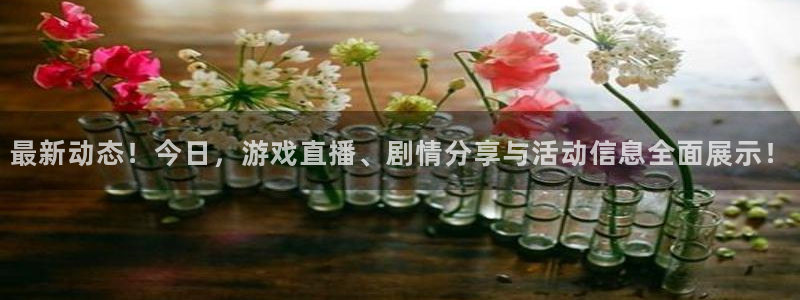 赢咖娱乐主管：最新动态！今日，游戏直播、剧情分享与活动信息全