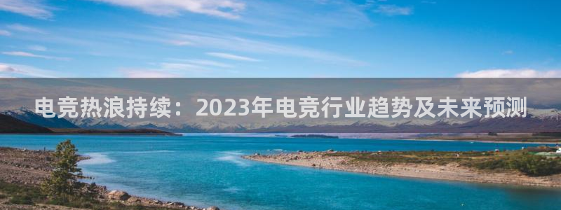 赢咖娱乐平台：电竞热浪持续：2023年电竞行业趋势及未来预测
