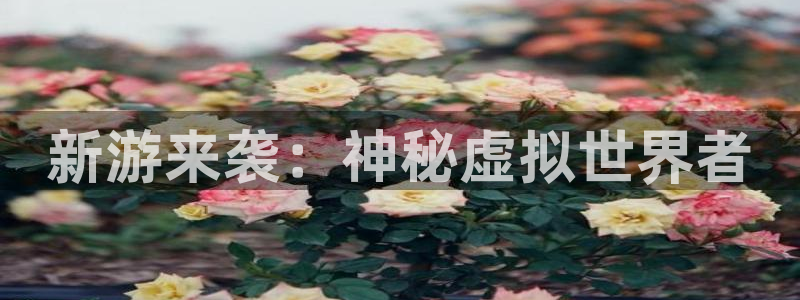 赢咖娱乐测速登陆：新游来袭：神秘虚拟世界者